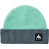 Gotham Gray/Spring Frost